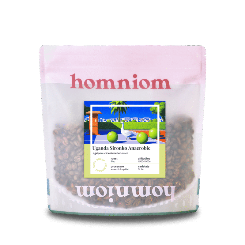 uganda sironko anaerob, cafea de specialitate, Prajitoria Homniom